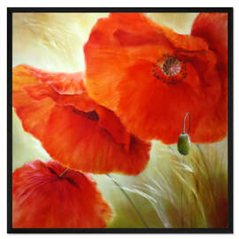 Gerahmter Kunstdruck Drei mal roter Mohn