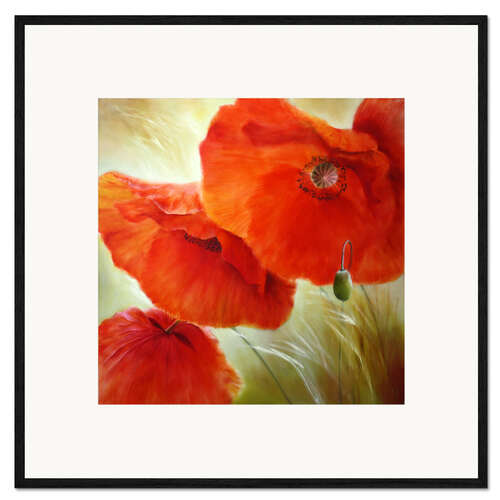 Kehystetty taidepainatus Three red poppy flowers