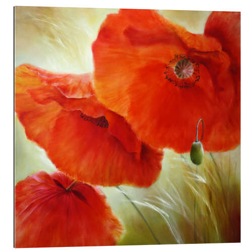 Galleritryk Three red poppy flowers