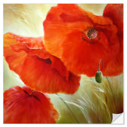 Selvklebende plakat Three red poppy flowers