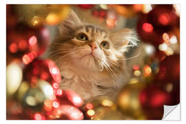 Wall sticker Christmas kitten