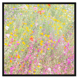 Gerahmter Kunstdruck Das Wildblumenfeld