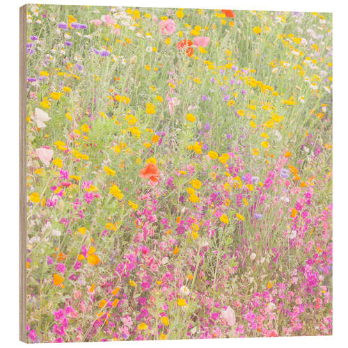 Hout print The wild flowers field