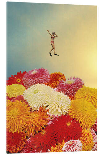 Acrylglas print Diver