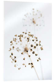 Tableau en verre acrylique Dried flowers II