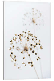 Obraz na aluminium Dried flowers II