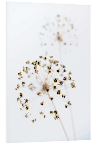 PVC-taulu Dried flowers II