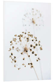 PVC-taulu Dried flowers II