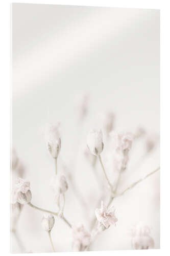 Acrylic print Small pink flowers