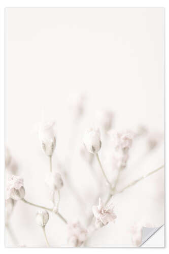 Wall sticker Small pink flowers