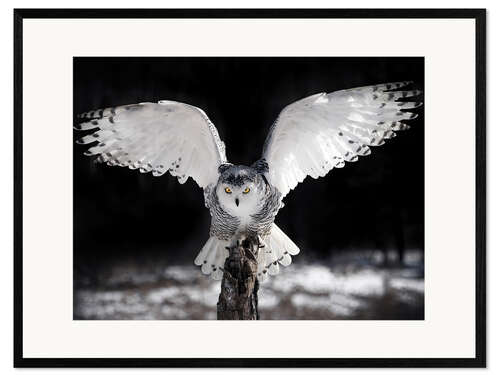 Framed art print The wings