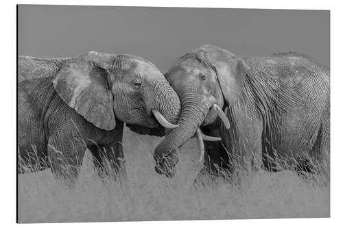 Tableau en aluminium Close friends