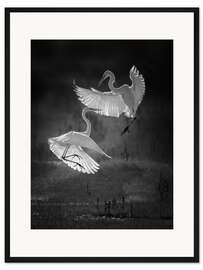 Gerahmter Kunstdruck Tanz der Reiher