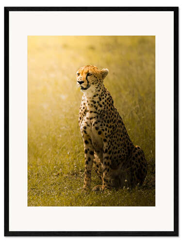 Inramat konsttryck Cheetah