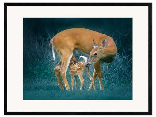 Framed art print Deer with fawn