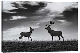 Canvas-taulu  Deer and roe deer in a meadow - Jure Kravanja