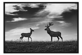 Gerahmter Kunstdruck Hirsch und Reh auf einer Wiese