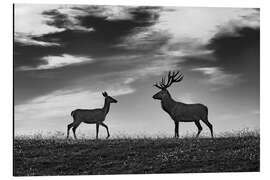Magnettafel Hirsch und Reh auf einer Wiese