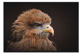 Gerahmter Kunstdruck Der Milan