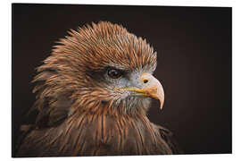 Magnettafel Der Milan