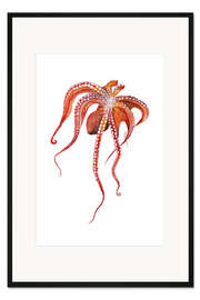 Gerahmter Kunstdruck Oktopus