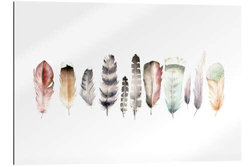 Gallery print Feathers