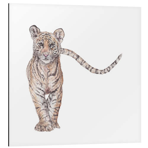 Aluminium print Tiger Cub