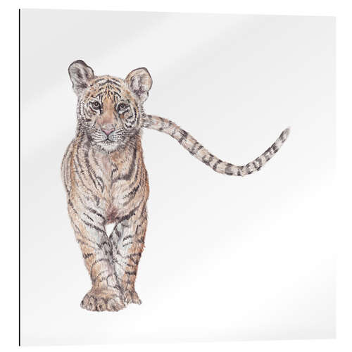 Quadro em plexi-alumínio Tiger Cub