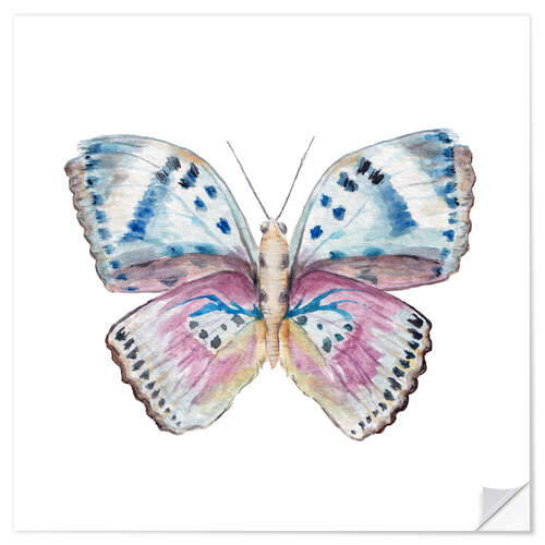 Wall sticker Pink and Powder Blue Butterfly