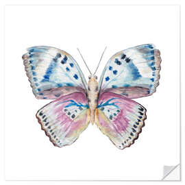 Wall sticker Pink and Powder Blue Butterfly