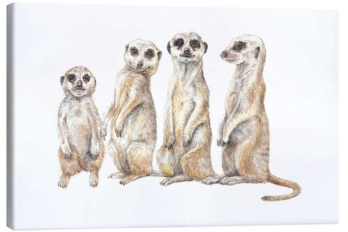 Canvas print Meerkats