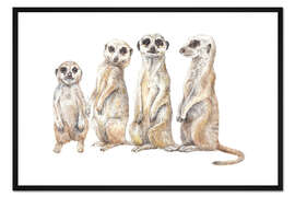 Gerahmter Kunstdruck Erdmännchen