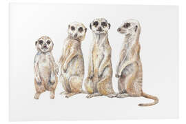 Foam board print Meerkats