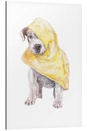 Aluminium print Rainy Day Pup