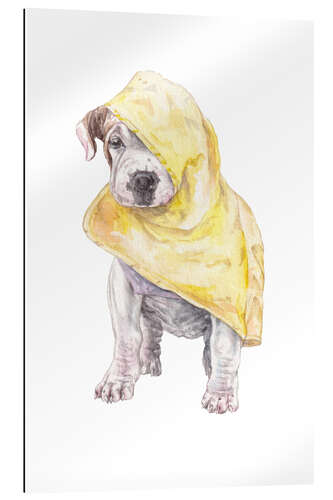 Gallery print Rainy Day Pup