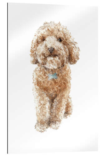 Gallery print Happy Poodle Puppy