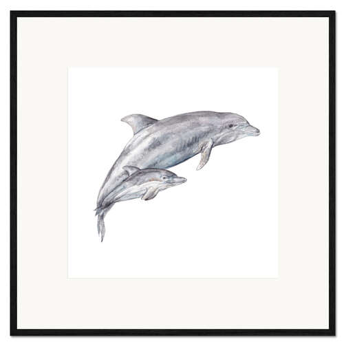 Impression artistique encadrée Mama and Baby Dolphin