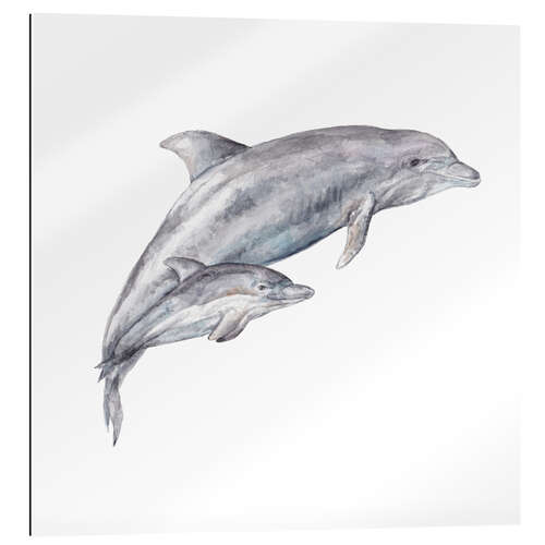 Gallery print Mama and Baby Dolphin