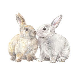 Magnettafel Kuschelhasen