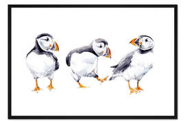 Gerahmter Kunstdruck Papageientaucher