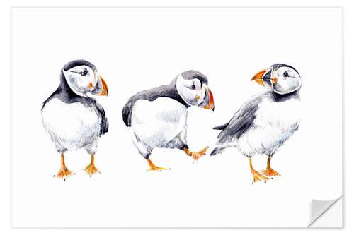 Wall sticker Puffins