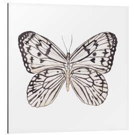 Aluminium print Zebra Butterfly