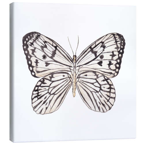 Canvas print Zebra Butterfly