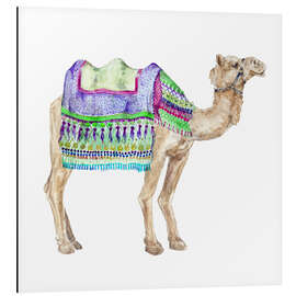 Aluminium print Colorful Camel