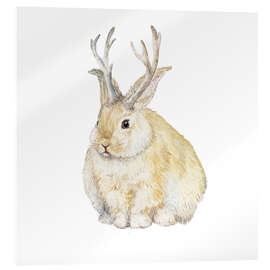 Acrylic print Grumpy Jackalope