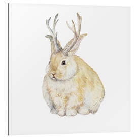 Aluminium print Grumpy Jackalope