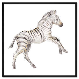 Gerahmter Kunstdruck Baby Zebra