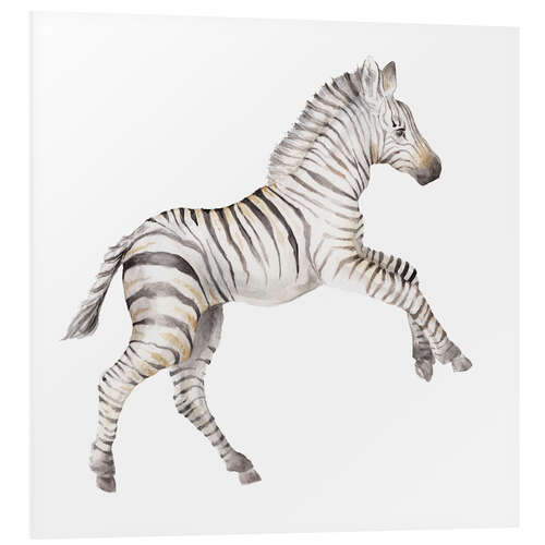 Cuadro de PVC Baby Zebra