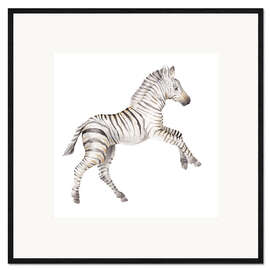 Ingelijste kunstdruk Baby Zebra