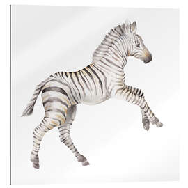 Gallery print Baby Zebra